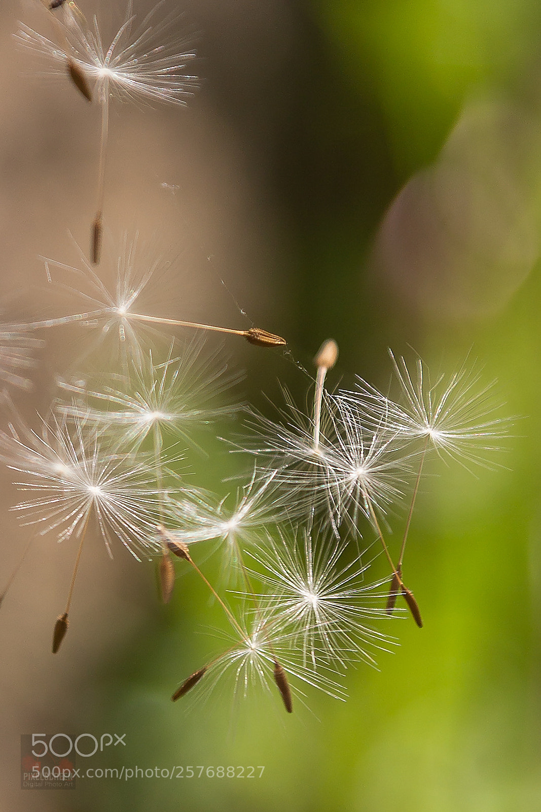 Canon EOS 6D sample photo. Bon voyage... photography