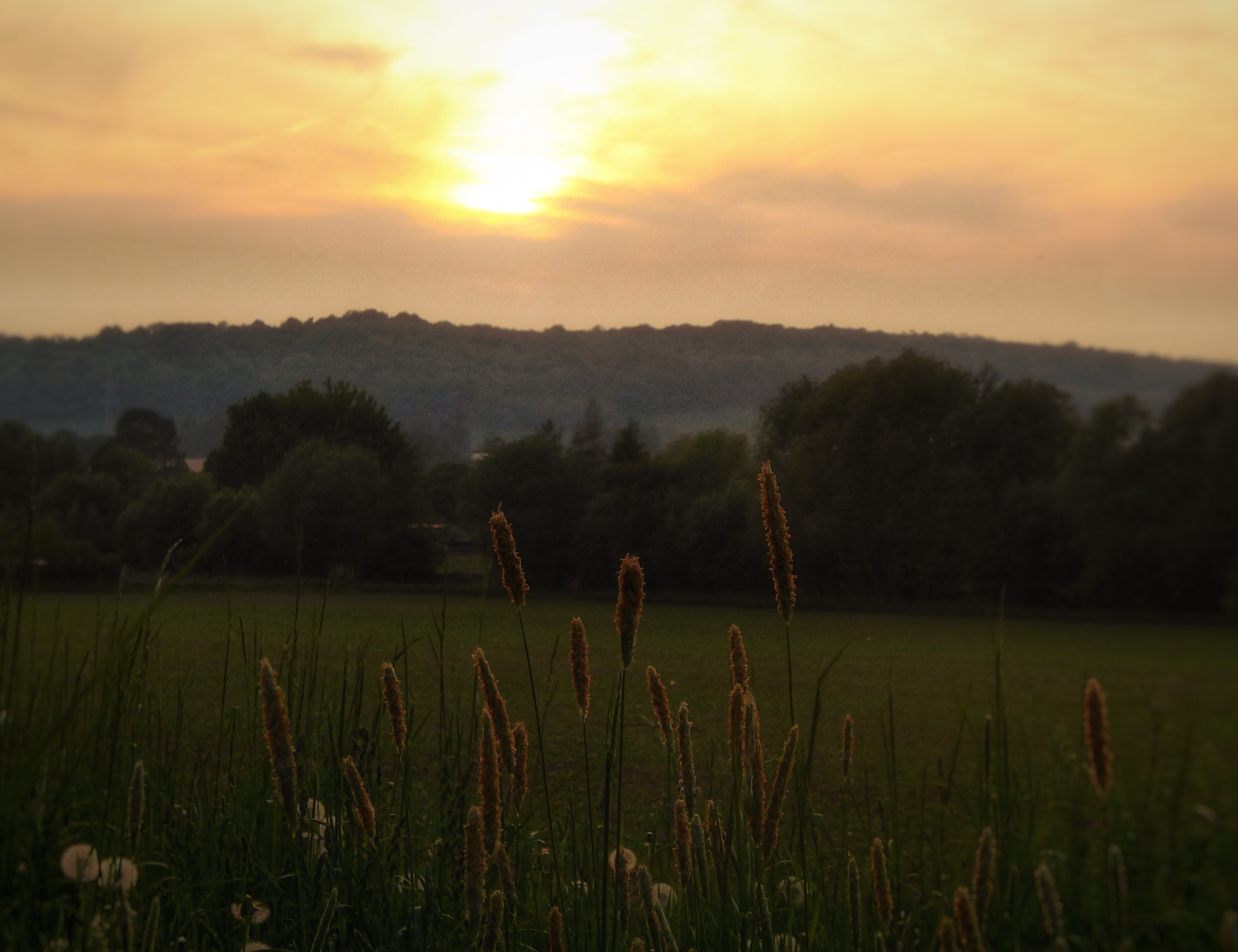 Panasonic DMC-TZ71 sample photo. Beautiful nature photography