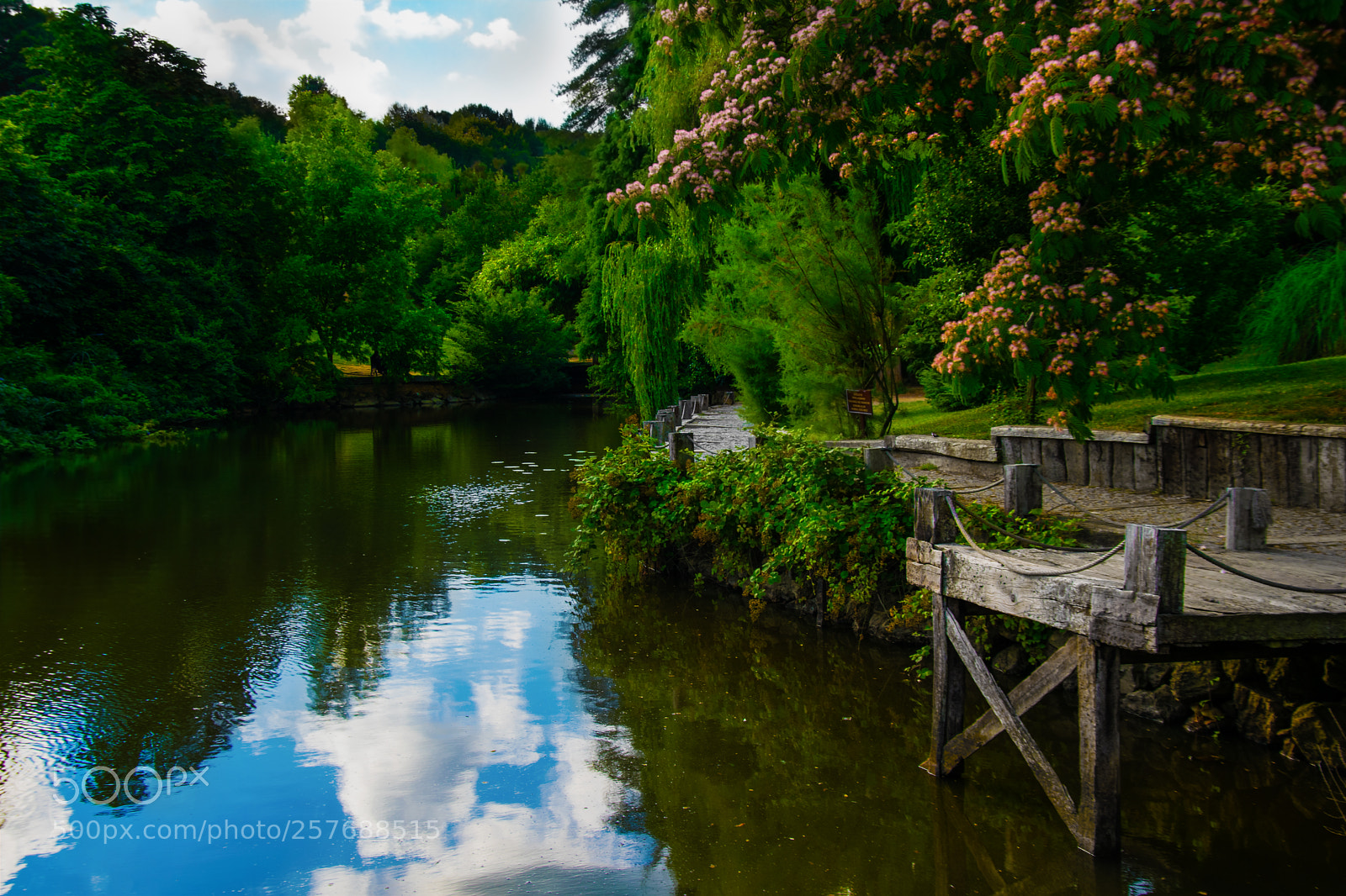 Nikon D5300 sample photo. Reflection of nature photography