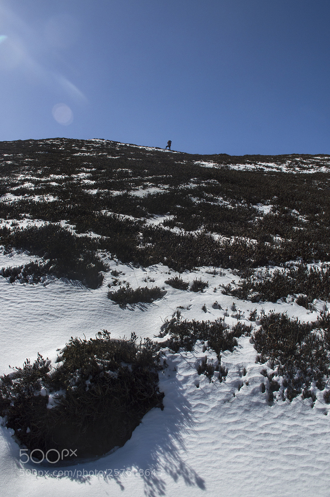 Nikon D3200 sample photo. Snow-capped photography