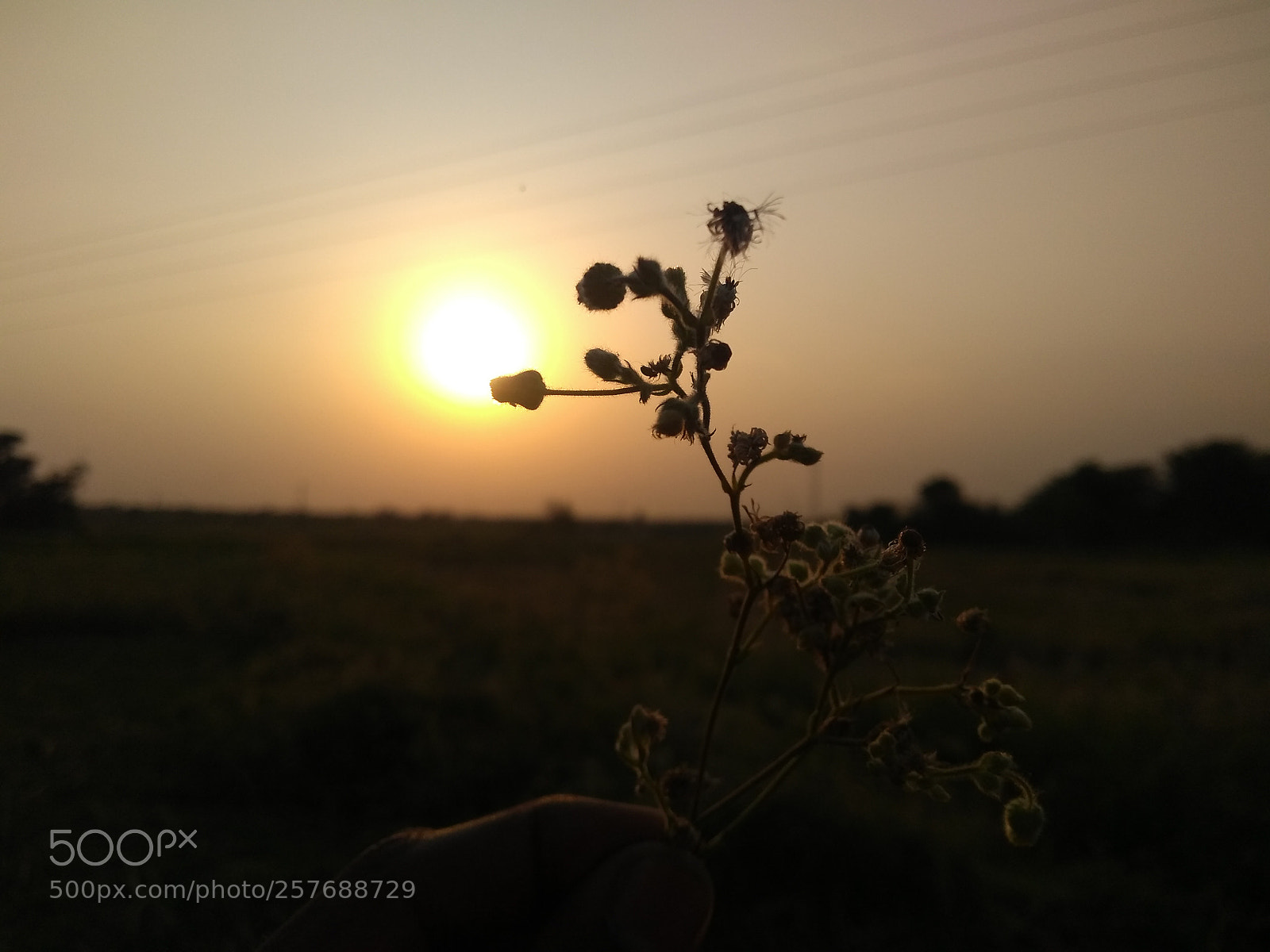 Motorola Moto G (5S) Plus sample photo. Untitled photography