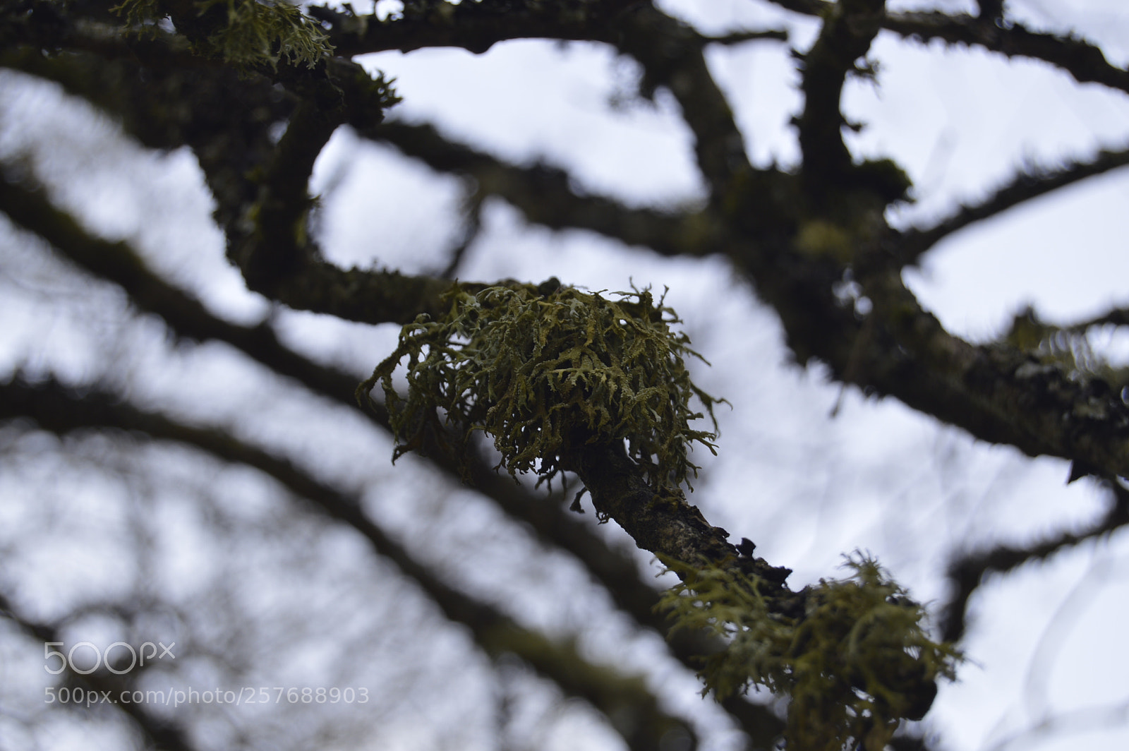 Nikon D3200 sample photo. Skøn natur photography