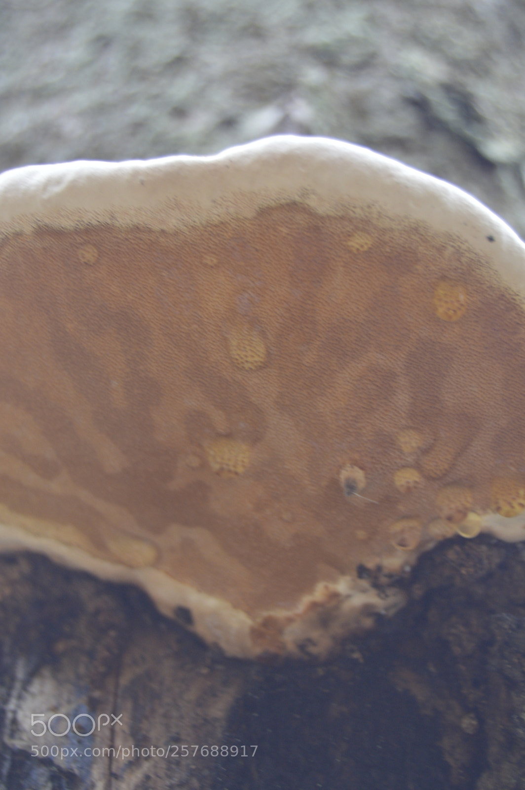 Nikon D3200 sample photo. Skøn natur photography
