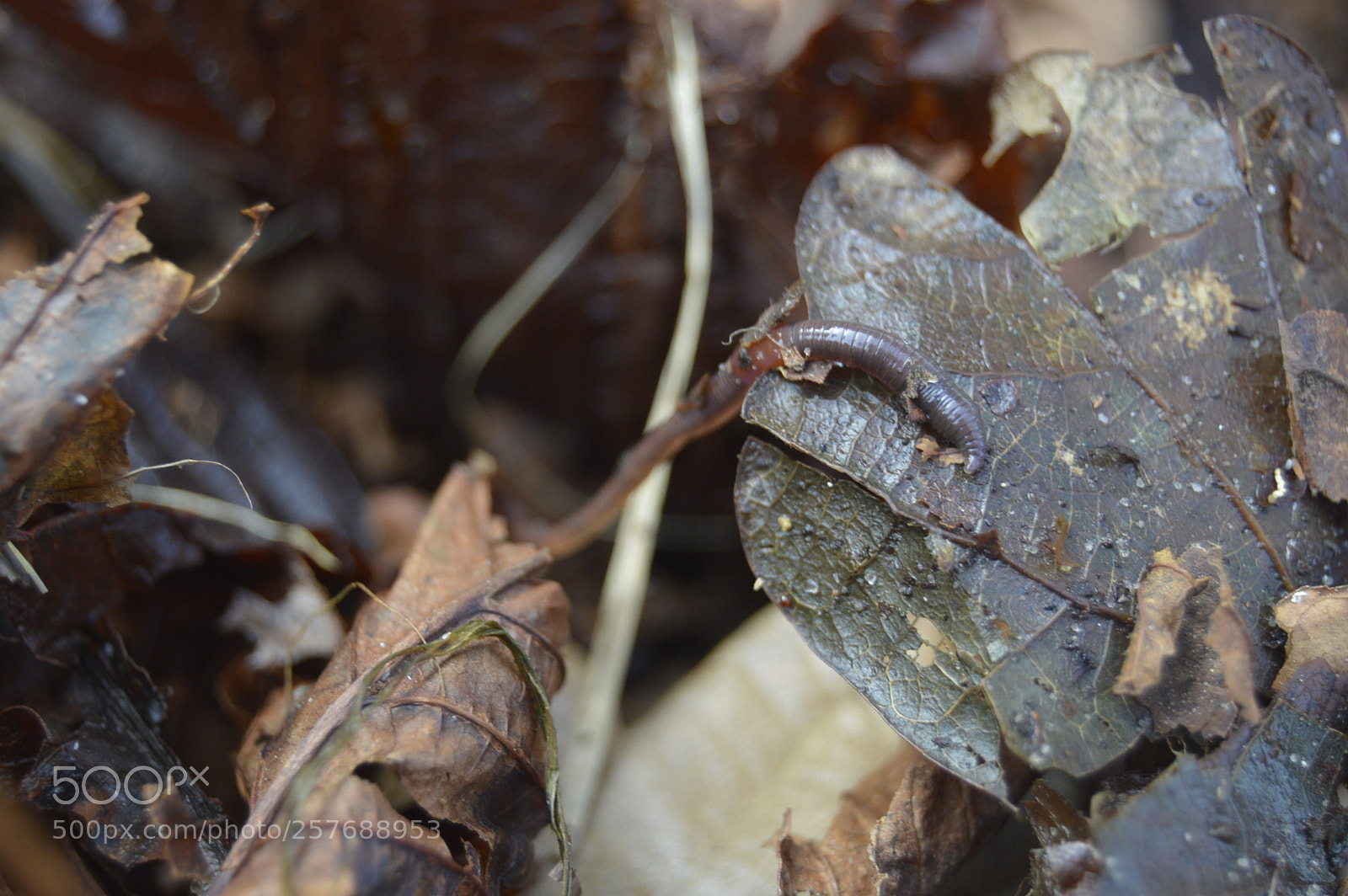 Nikon D3200 sample photo. Skøn natur photography