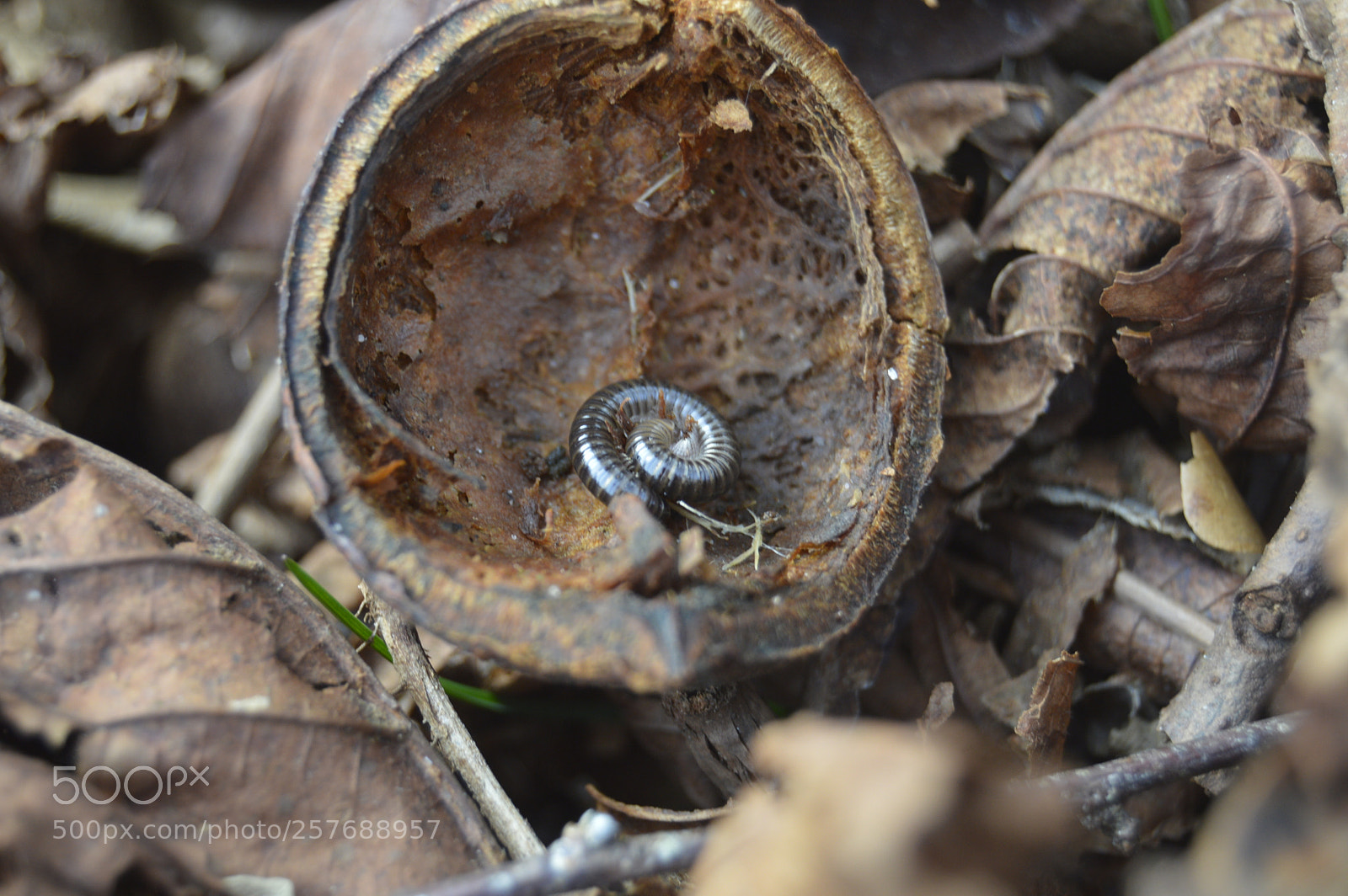 Nikon D3200 sample photo. Skøn natur photography