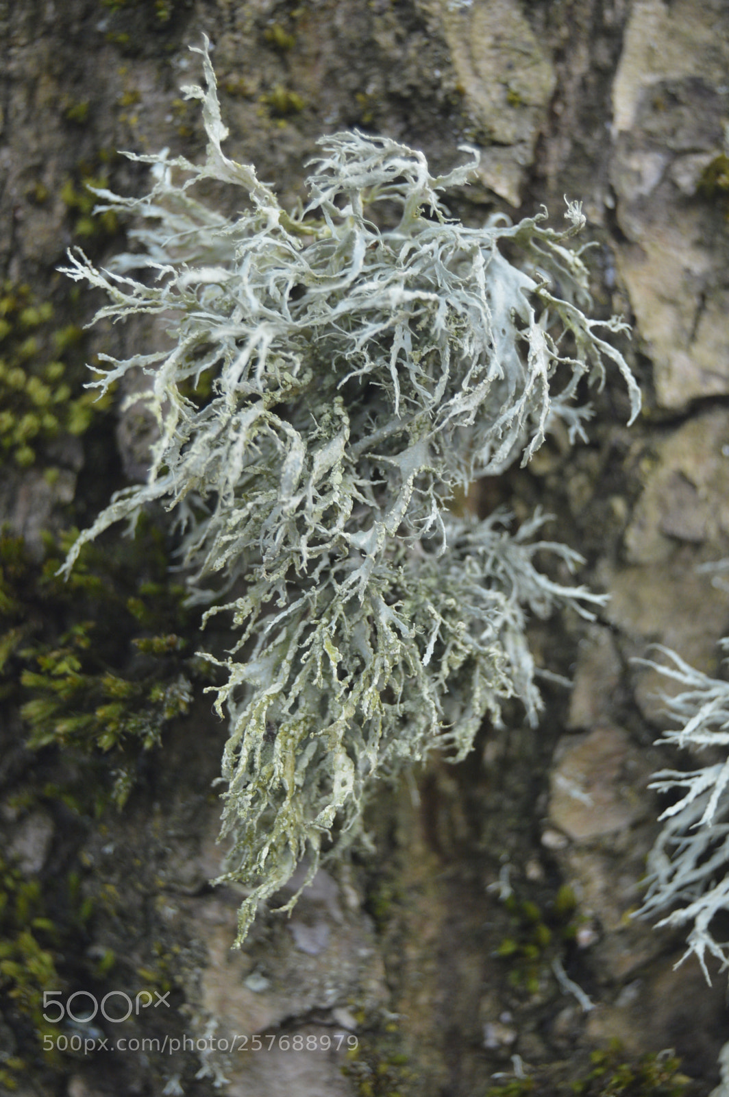 Nikon D3200 sample photo. Skøn natur photography