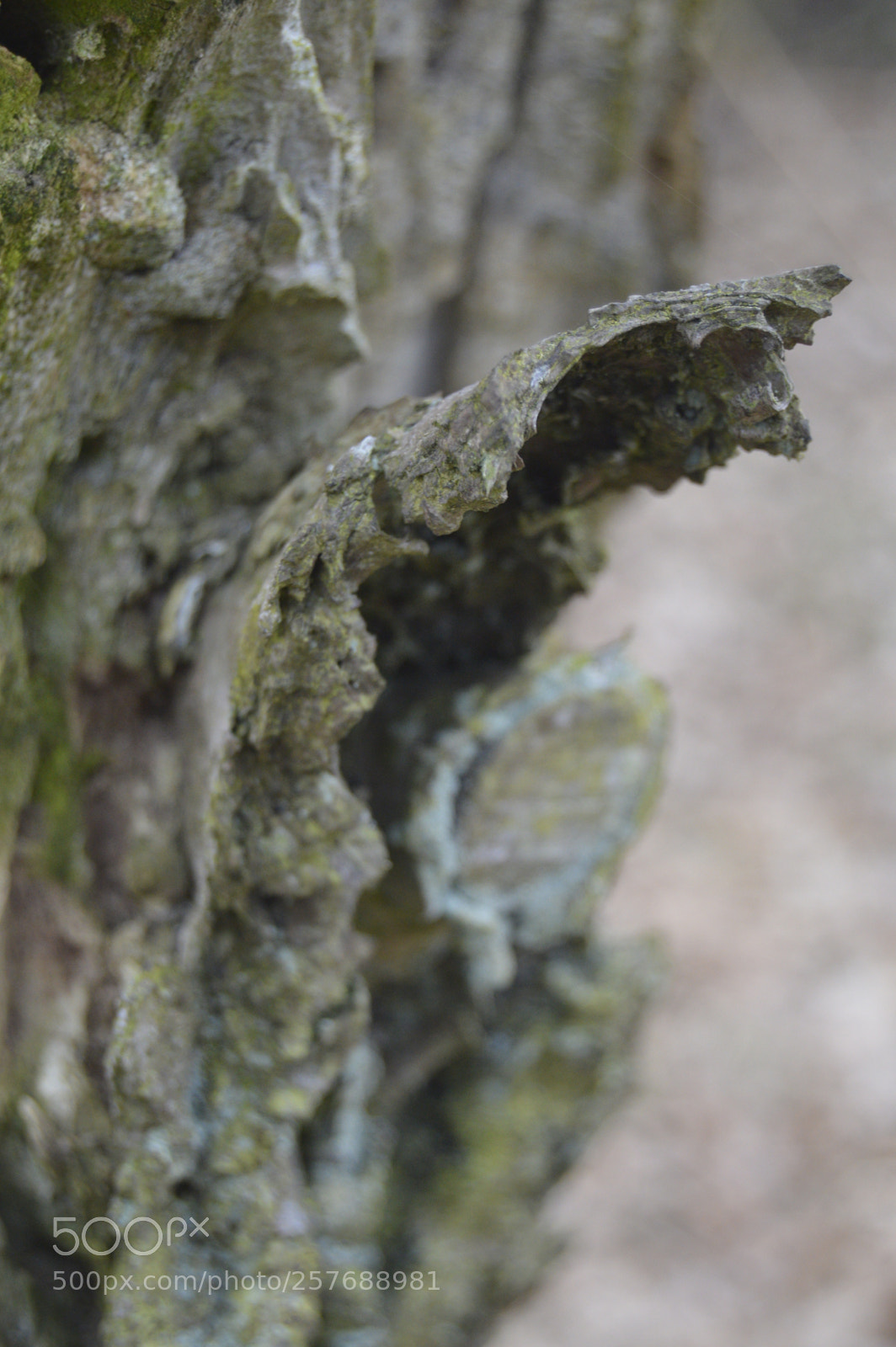 Nikon D3200 sample photo. Skøn natur photography