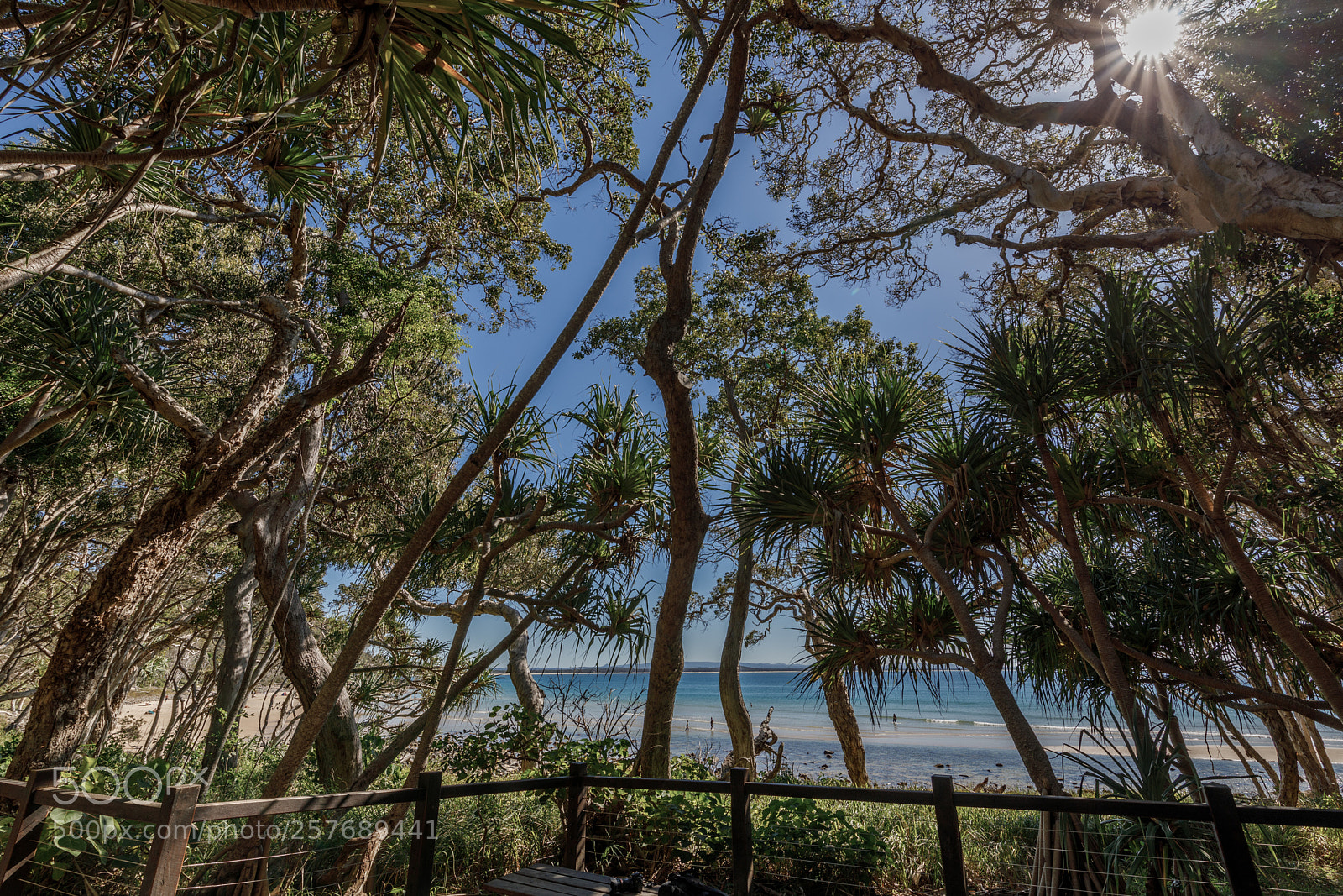 Canon EOS 5D Mark IV sample photo. Noosa national park photography