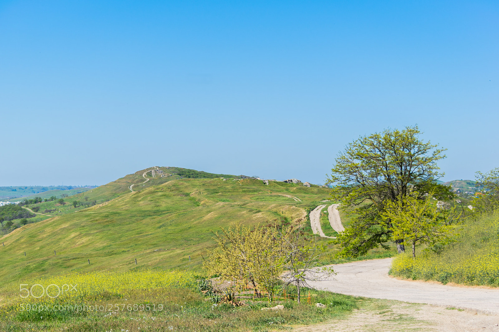Nikon D5300 sample photo. Spring in crimea. photography