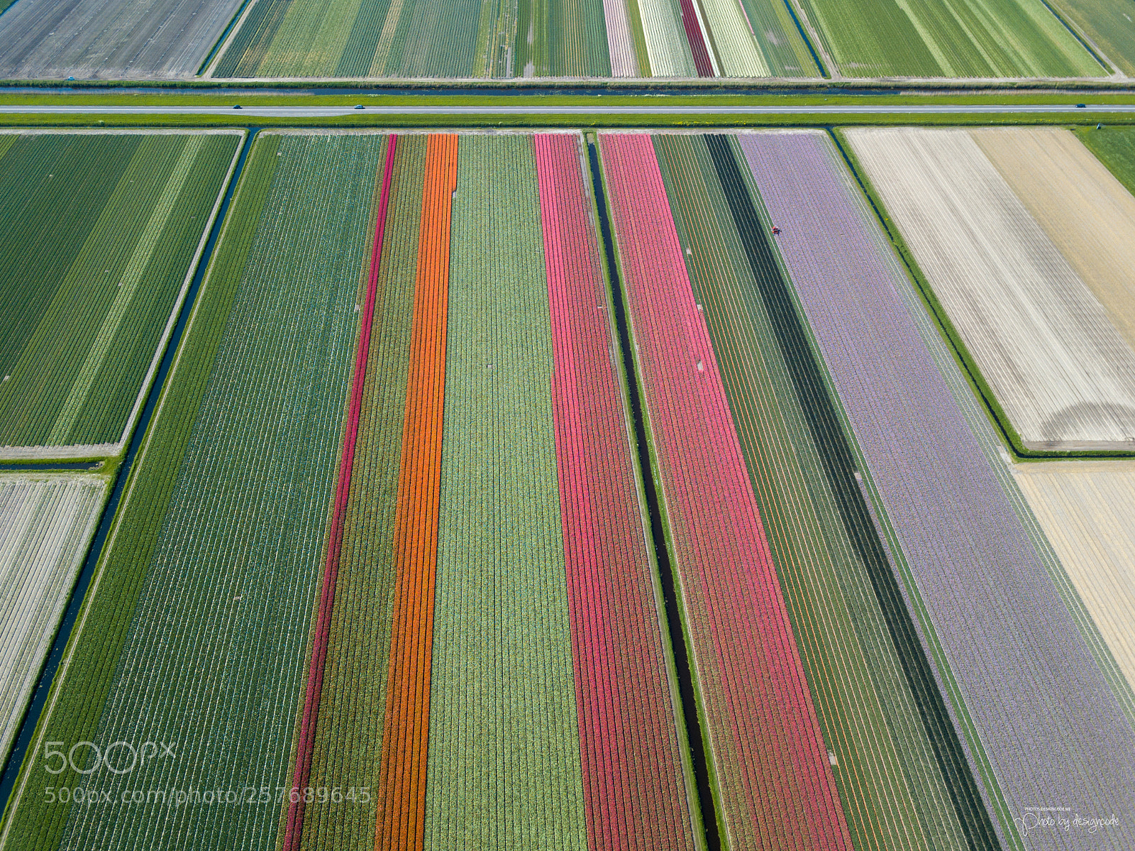 DJI FC220 sample photo. Tulip fields of netherlands photography
