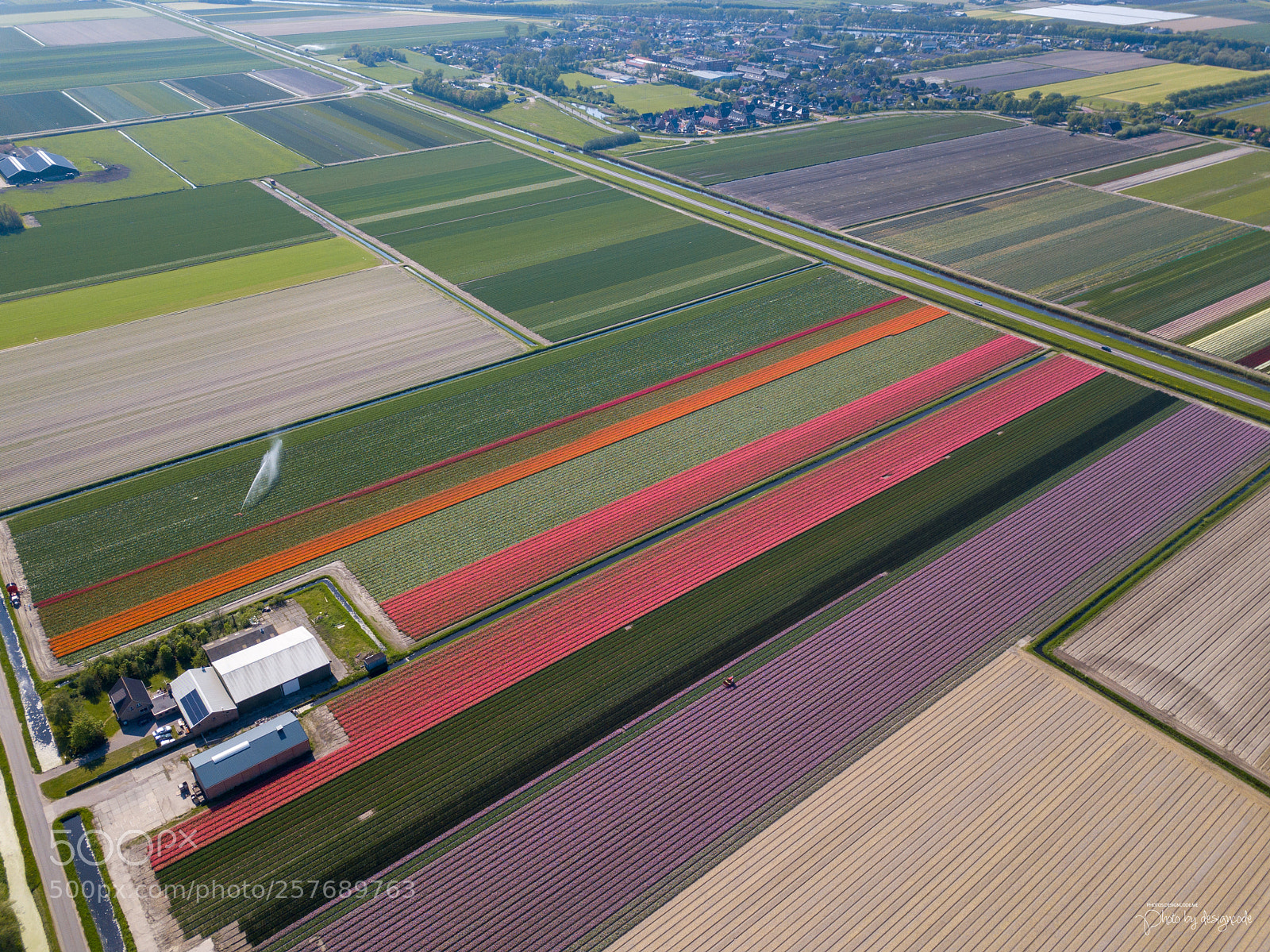 DJI FC220 sample photo. Tulip fields of netherlands photography