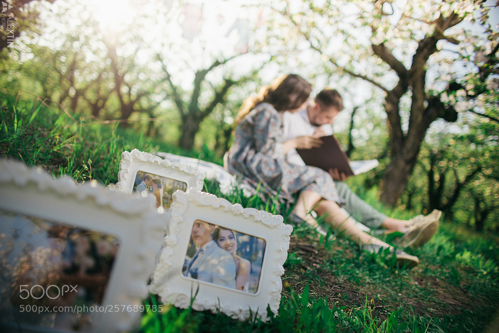 Nikon D600 sample photo. Dasha&ruslan photography