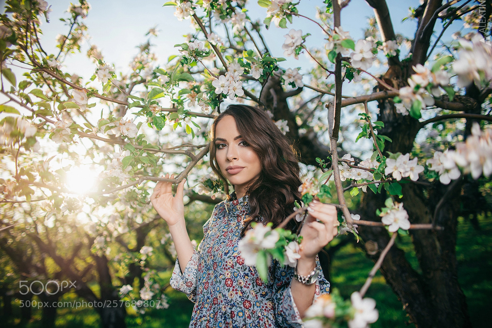 Nikon D600 sample photo. Dasha photography