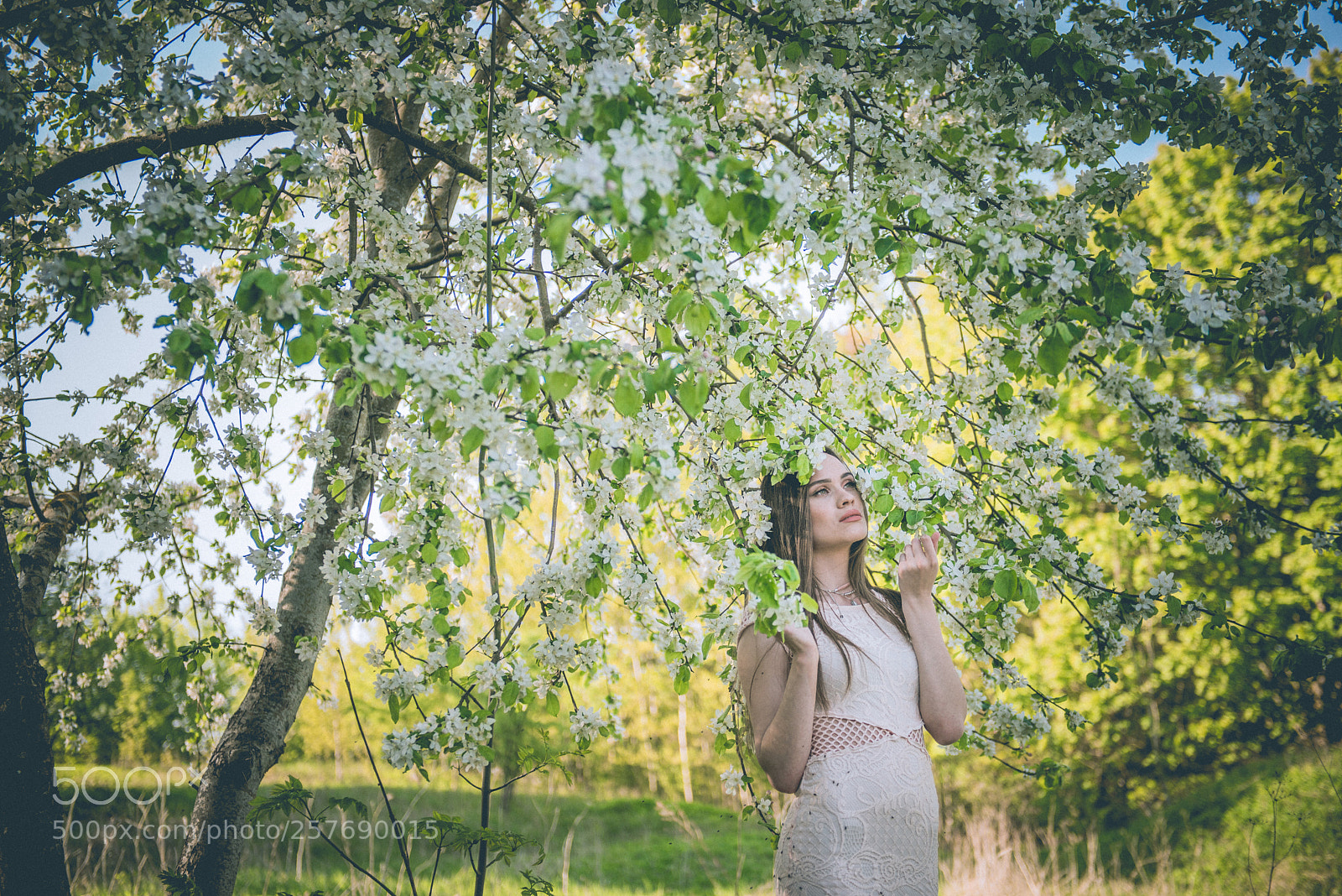 Nikon D610 sample photo. Untitled photography