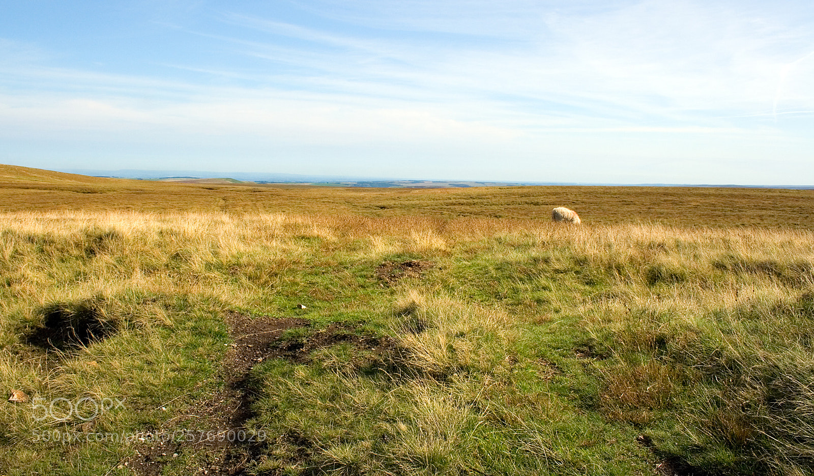 Canon EOS 350D (EOS Digital Rebel XT / EOS Kiss Digital N) sample photo. The dales o photography