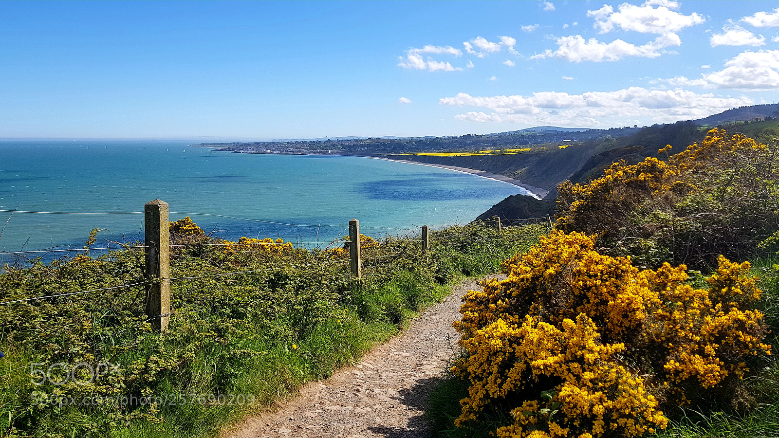 Samsung Galaxy S8 sample photo. Bray head photography