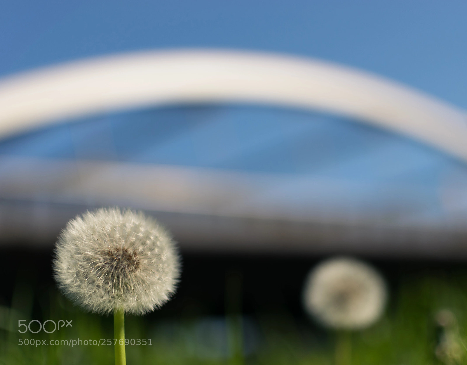Nikon D5300 sample photo. [no people] photography