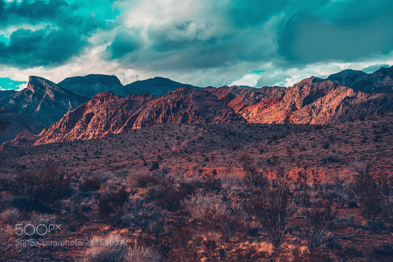 Sony a7 II sample photo. Red rock photography