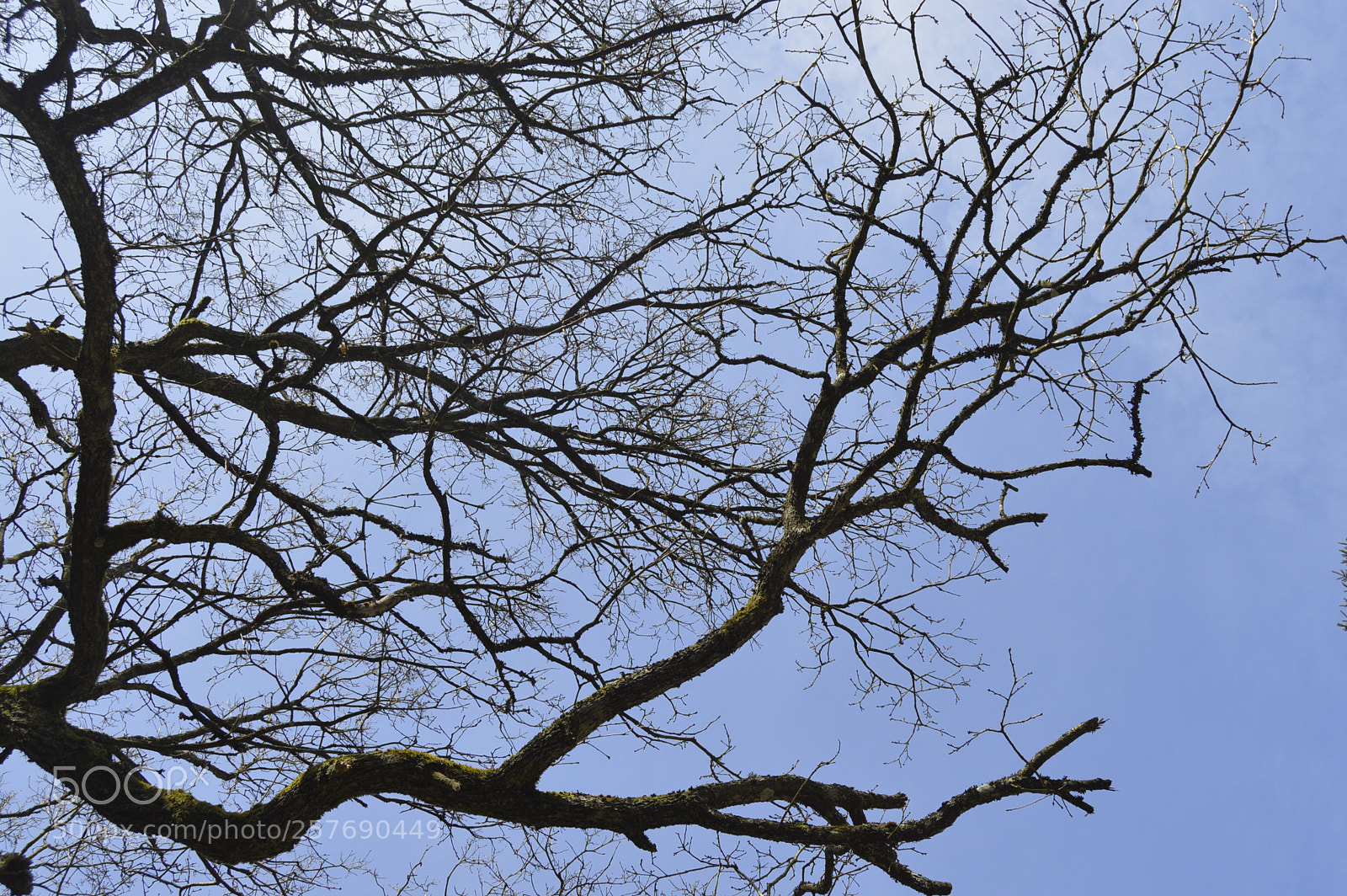 Nikon D3200 sample photo. Dansk natur photography