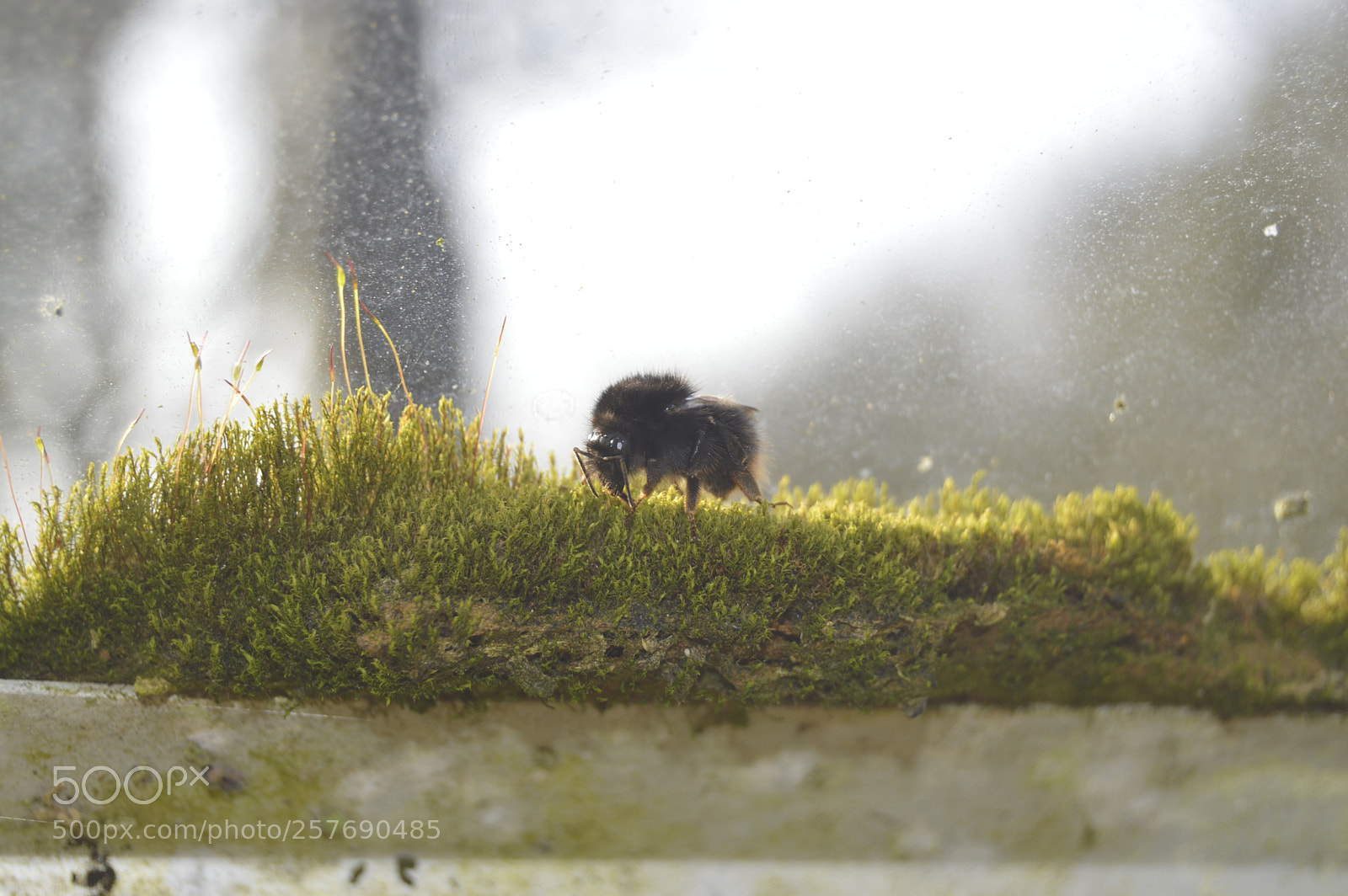 Nikon D3200 sample photo. Dansk natur photography