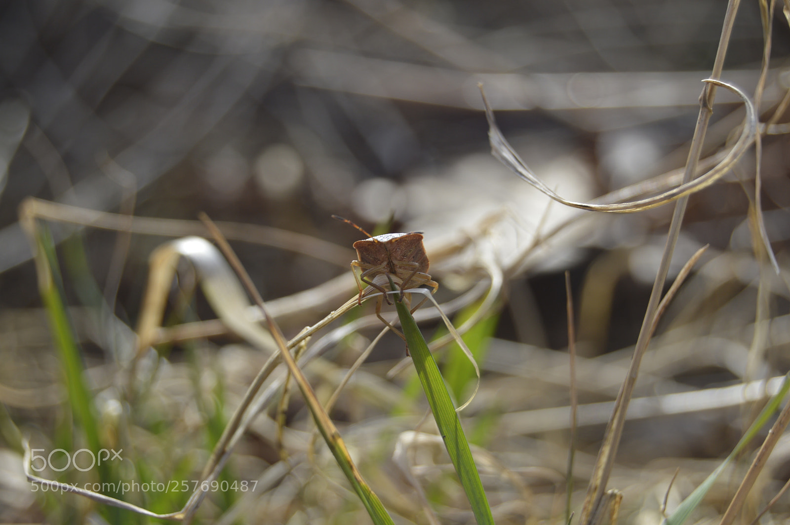Nikon D3200 sample photo. Dansk natur photography