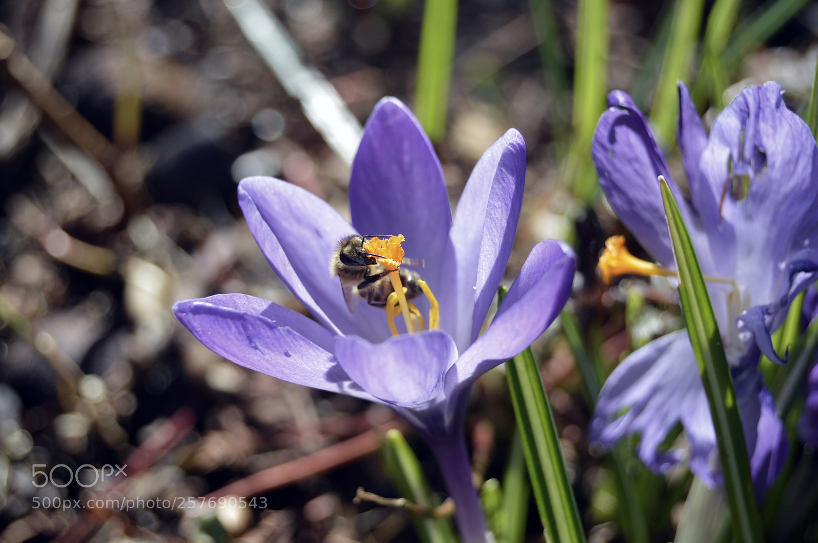 Nikon D3200 sample photo. Dansk natur photography