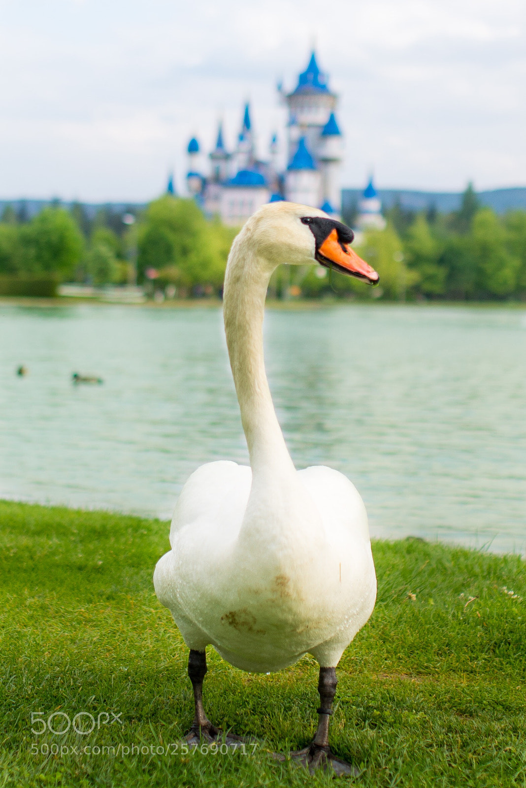 Nikon D610 sample photo. Beauty photography
