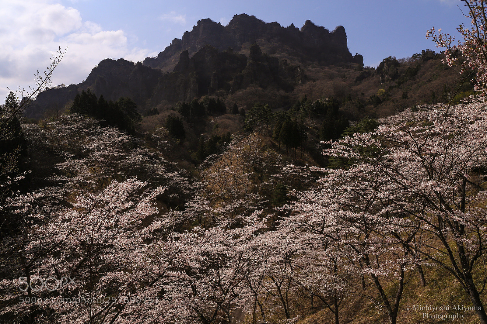 Canon EOS 6D sample photo. Sakura and mt.myogi photography