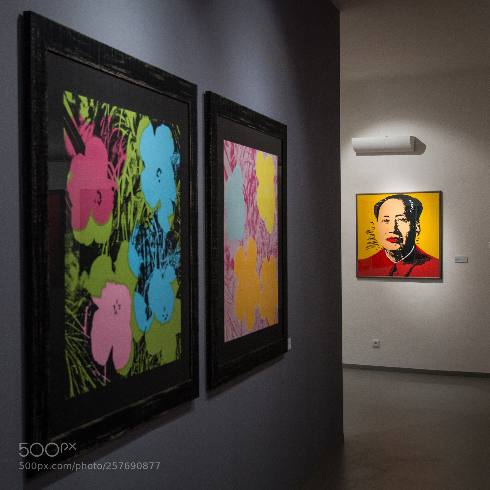 Canon EOS 70D sample photo. Andy warhol story photography