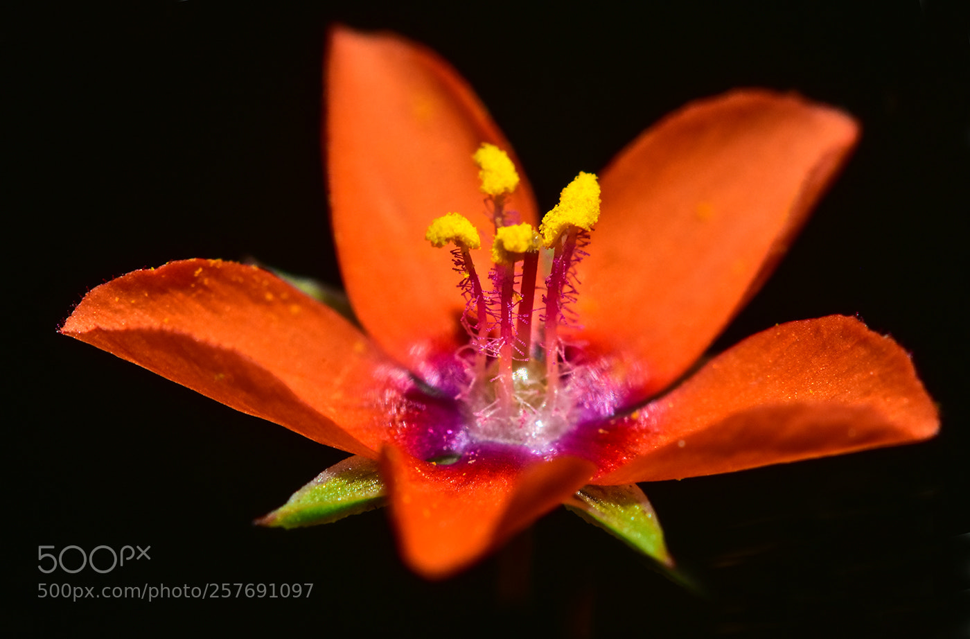 Nikon D7200 sample photo. 13.05.2018 - 2 photography
