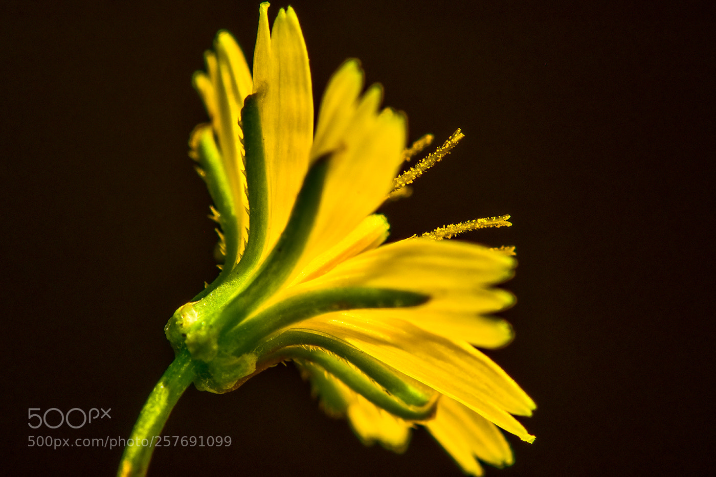 Nikon D7200 sample photo. 13.05.2018 - 1 photography