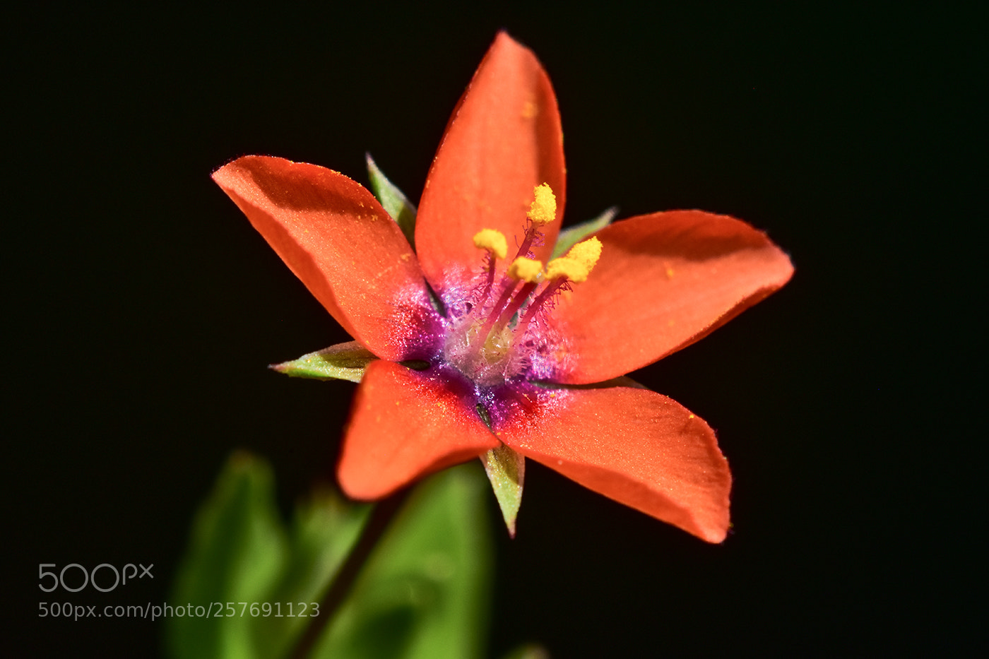 Nikon D7200 sample photo. 13.05.2018 - 3 photography