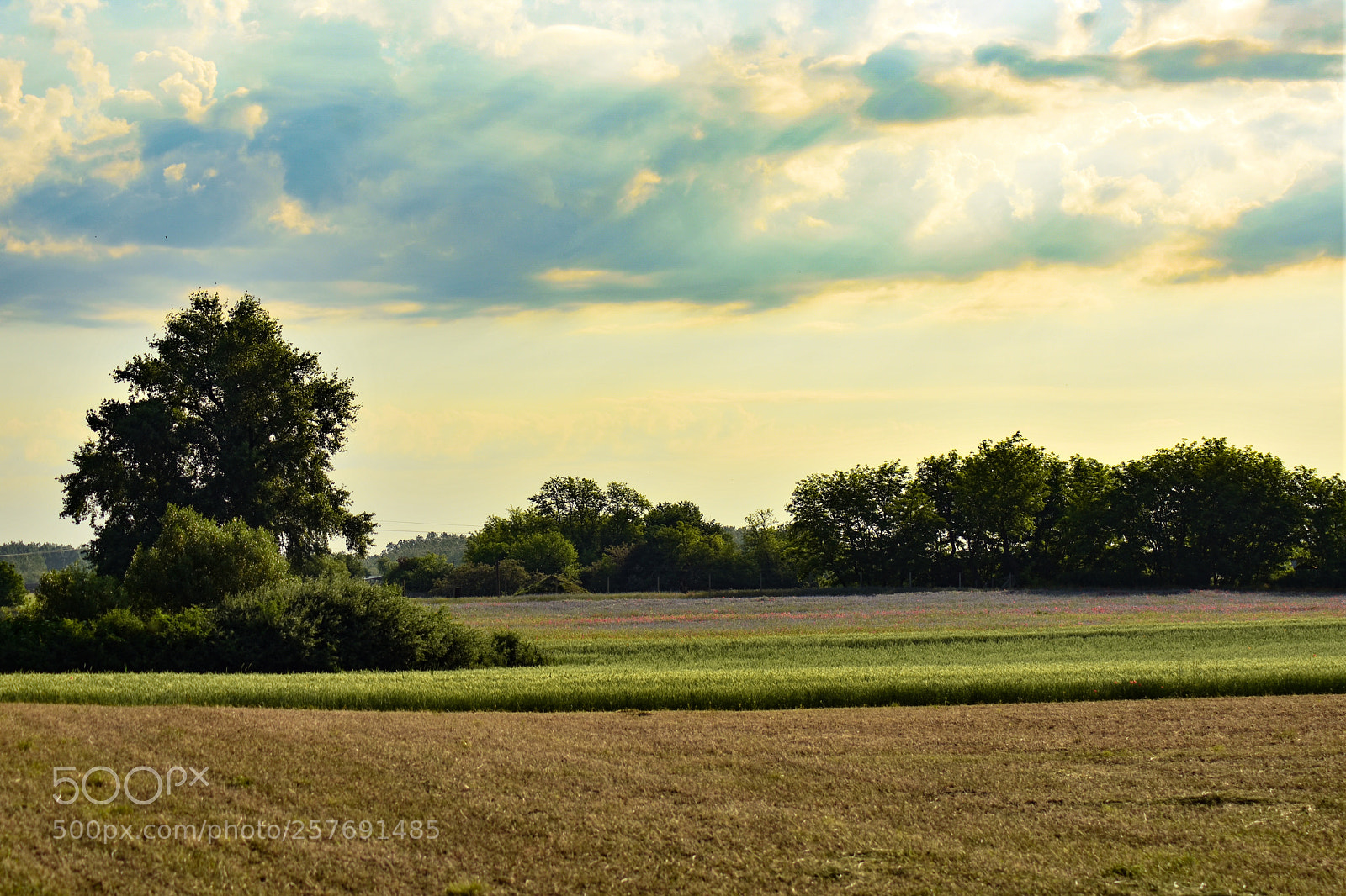 Nikon D7200 sample photo. Untitled photography
