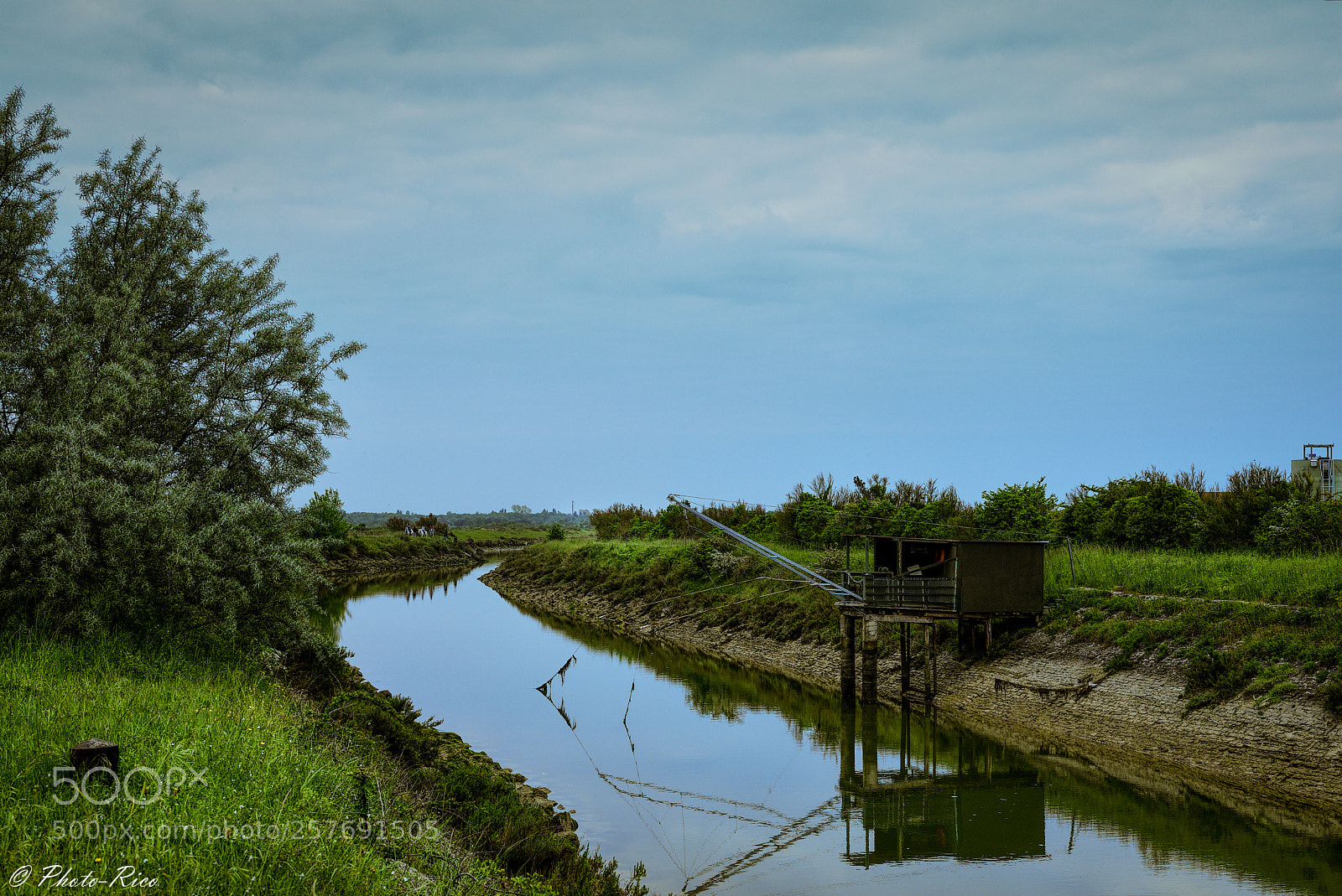Nikon D750 sample photo. Carrelet photography