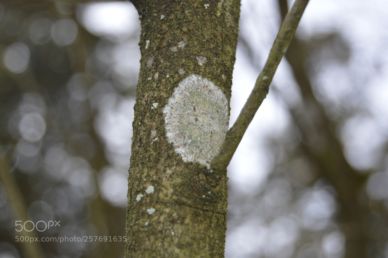 Nikon D3200 sample photo. Dansk natur photography