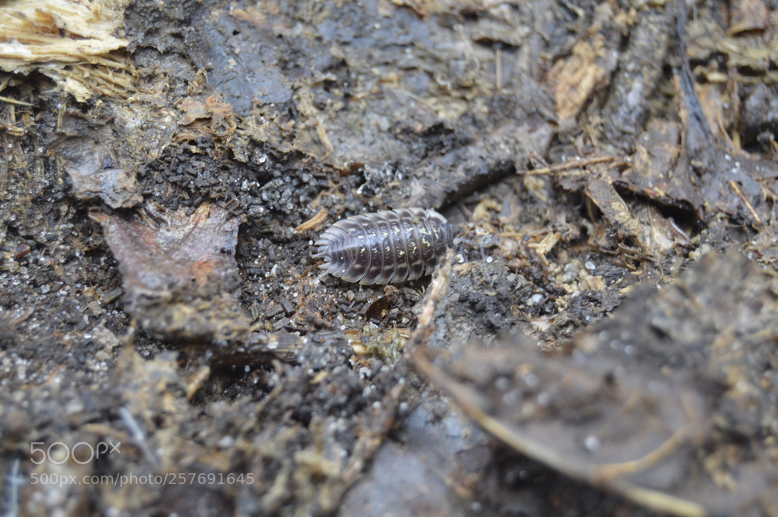 Nikon D3200 sample photo. Dansk natur photography