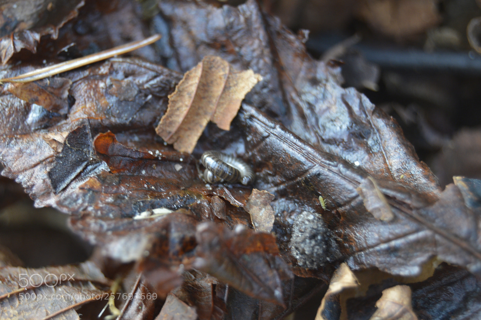 Nikon D3200 sample photo. Dansk natur photography