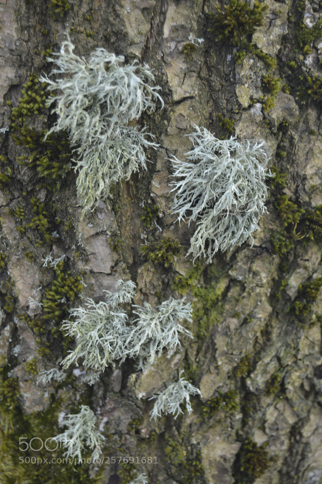 Nikon D3200 sample photo. Dansk natur photography