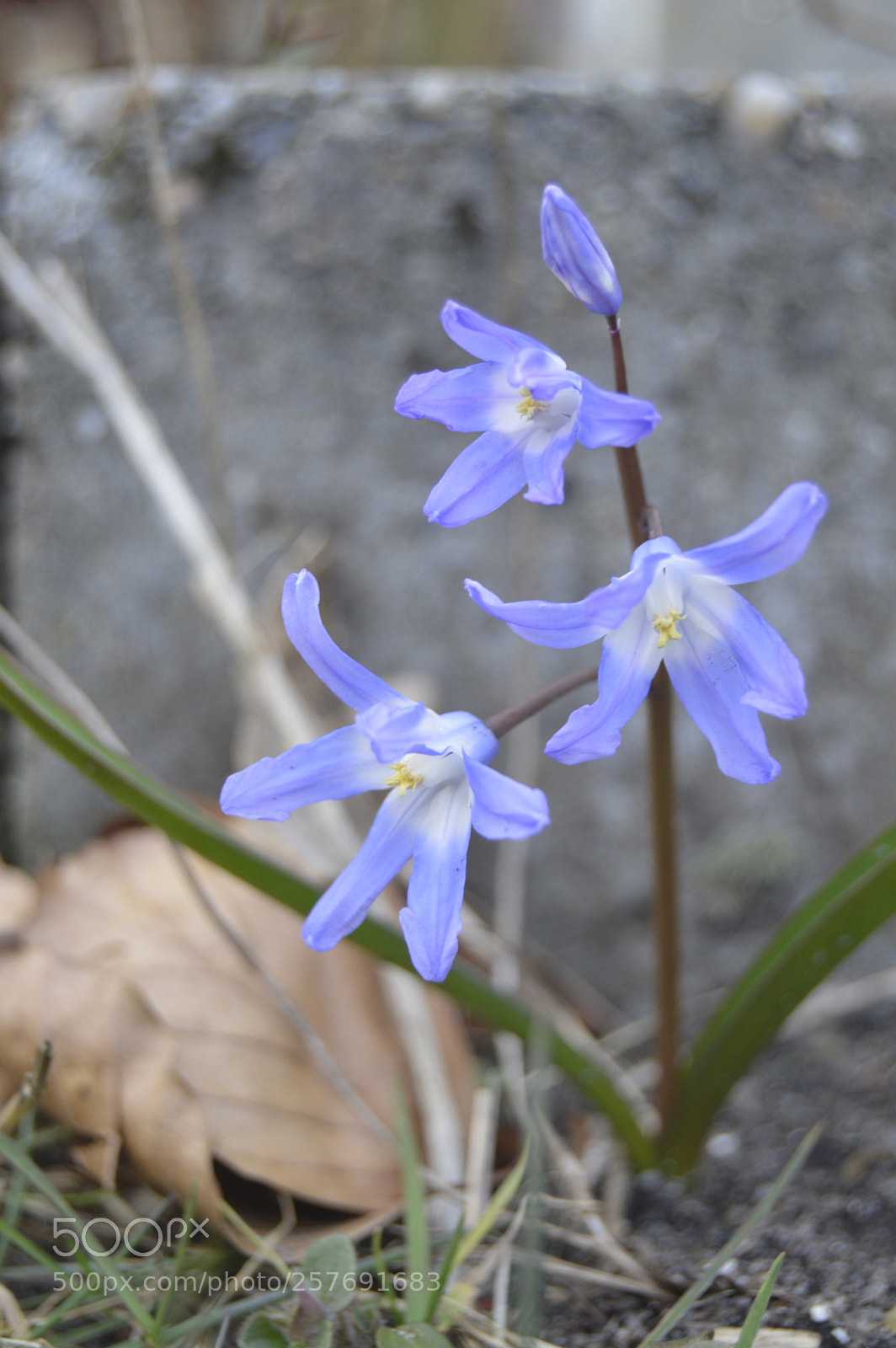 Nikon D3200 sample photo. Dansk natur photography