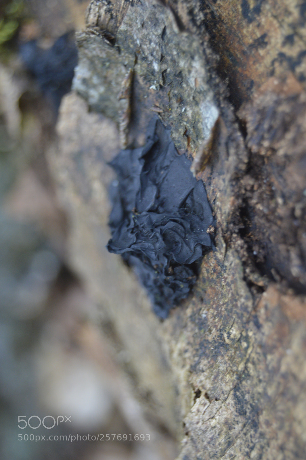 Nikon D3200 sample photo. Dansk natur photography