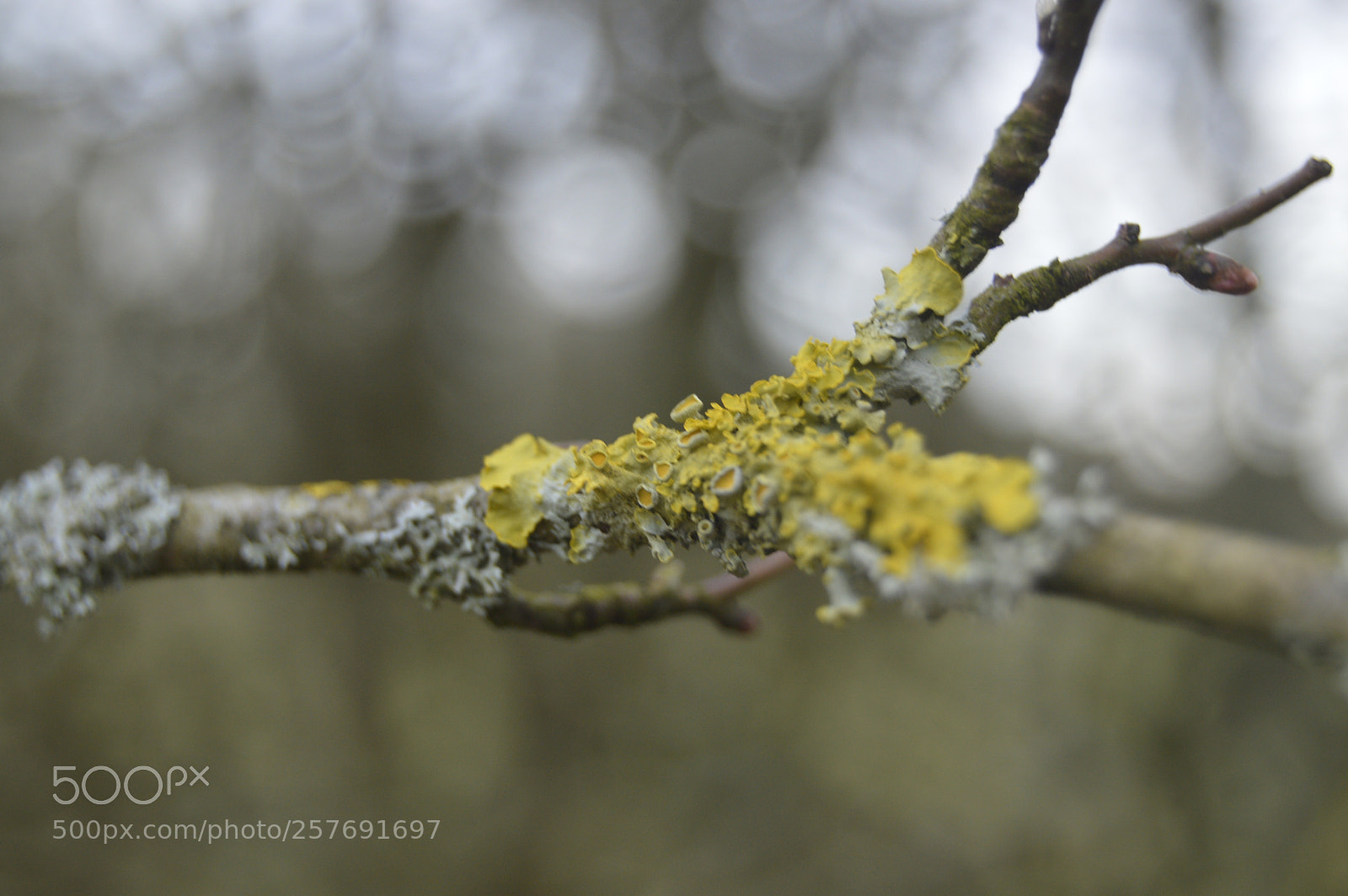 Nikon D3200 sample photo. Dansk natur photography