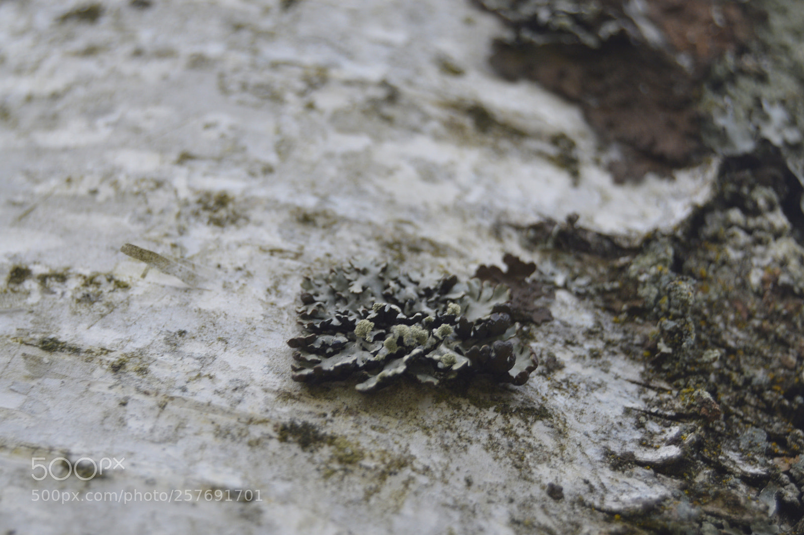 Nikon D3200 sample photo. Dansk natur photography