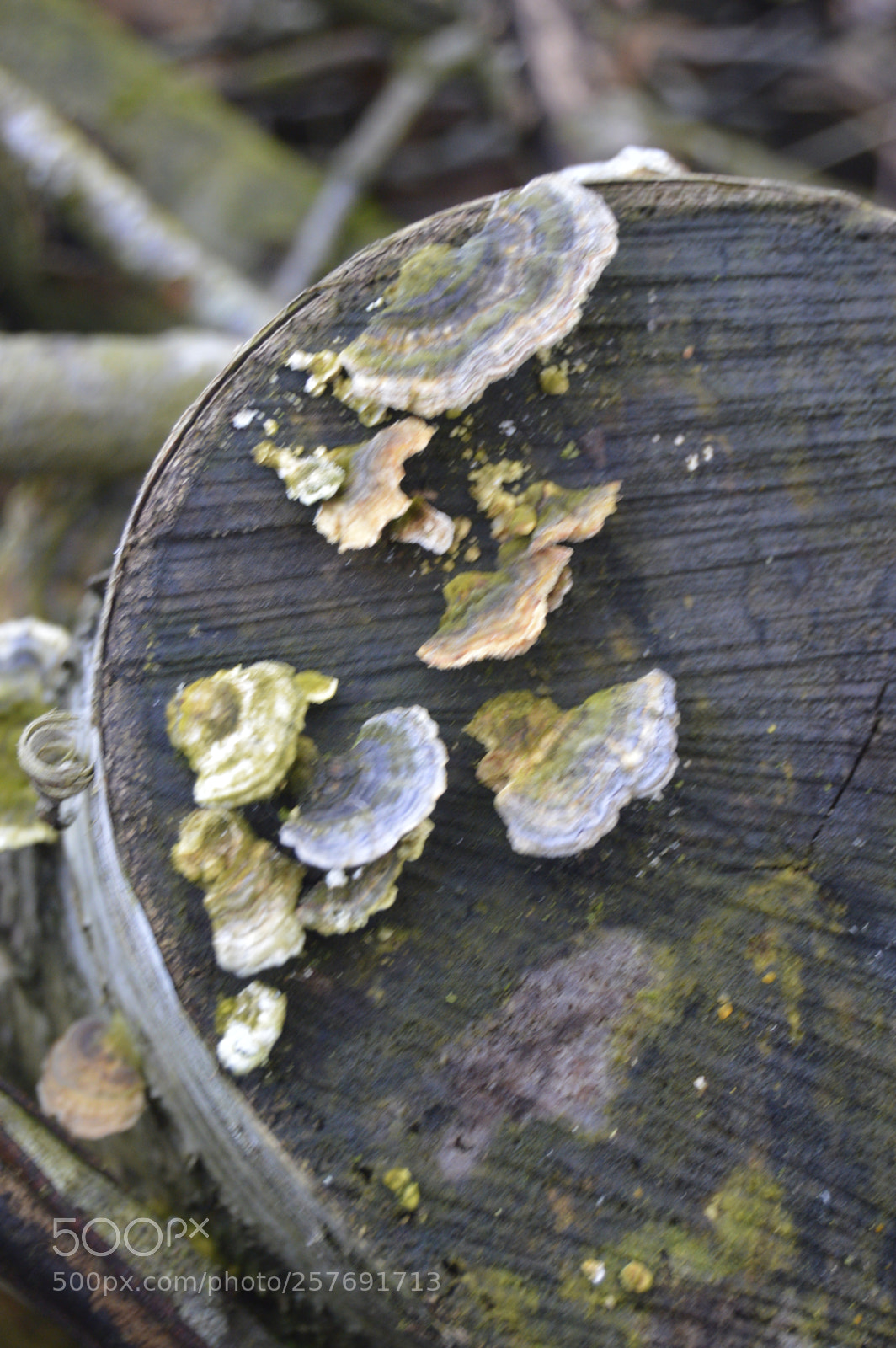 Nikon D3200 sample photo. Dansk natur photography