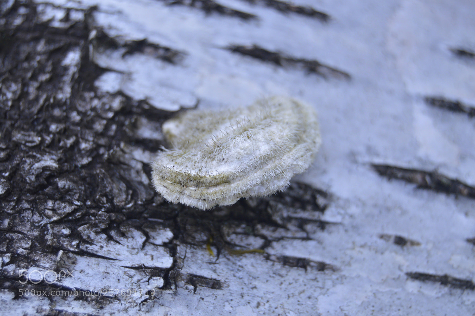 Nikon D3200 sample photo. Dansk natur photography