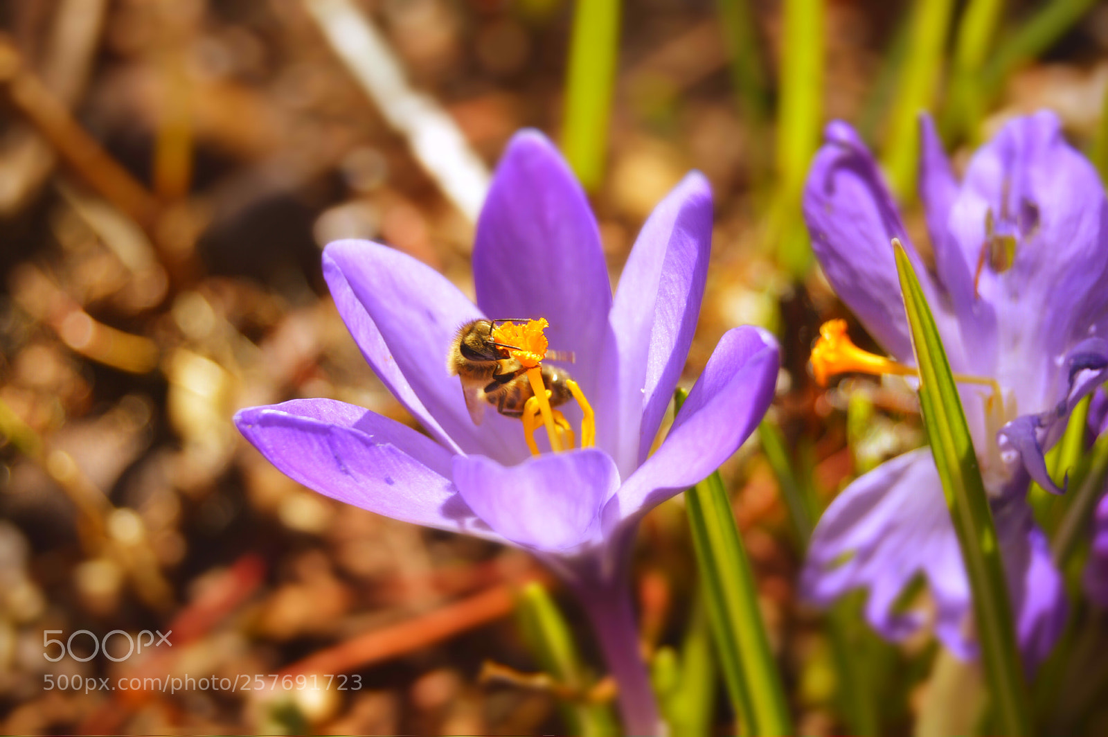 Nikon D3200 sample photo. Dansk natur photography