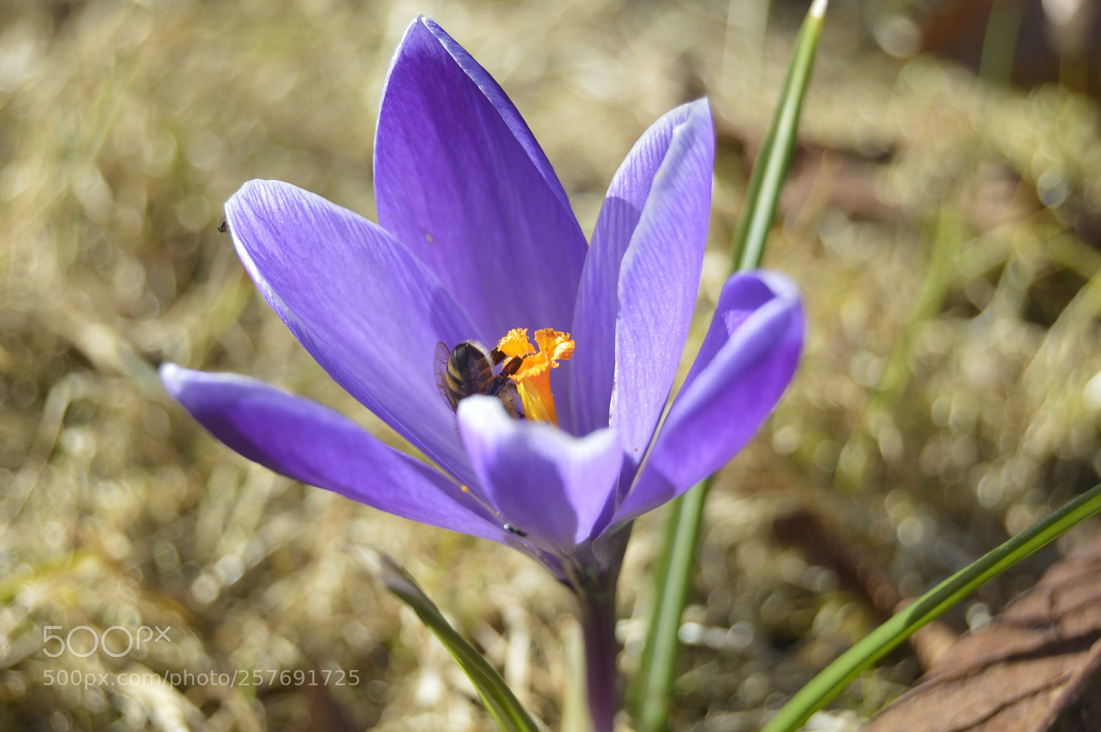 Nikon D3200 sample photo. Dansk natur photography