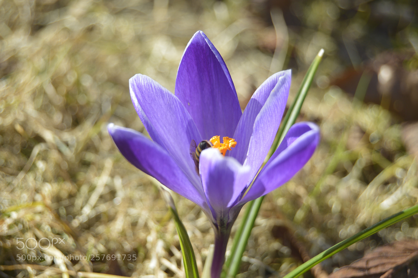 Nikon D3200 sample photo. Dansk natur photography