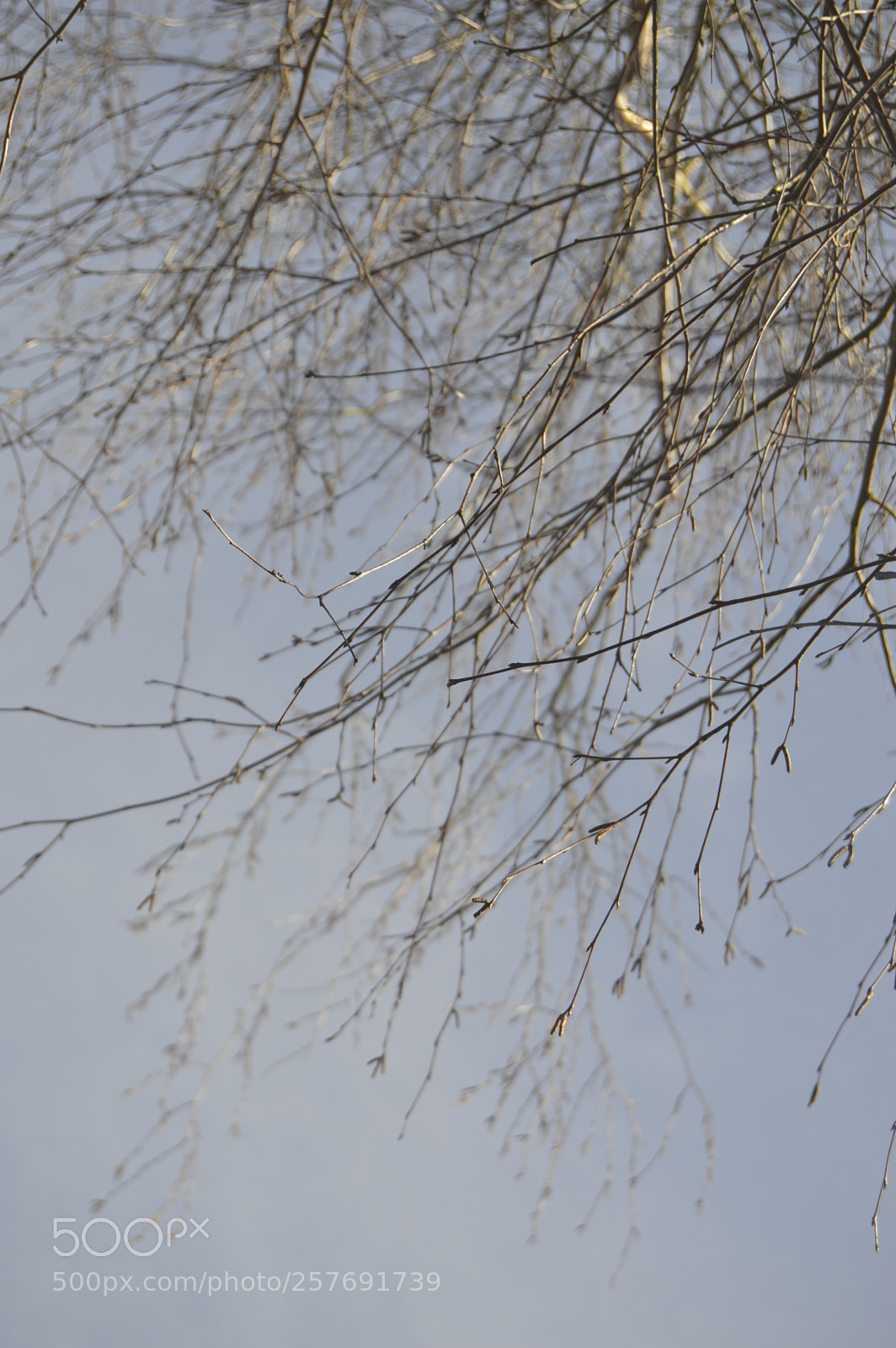 Nikon D3200 sample photo. Dansk natur photography