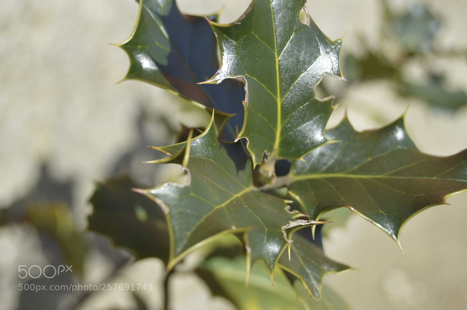 Nikon D3200 sample photo. Dansk natur photography