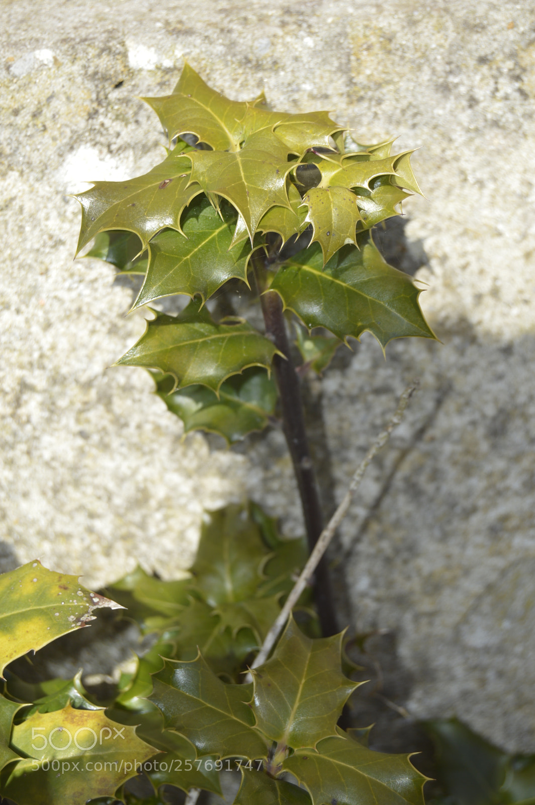 Nikon D3200 sample photo. Dansk natur photography